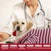 TQFlow Dog Recovery Suit, Pet Surgery Suits for Female Male,
