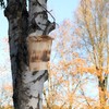 Relaxdays Bat Box, Shelter for Bats, HBD: 37 x 22