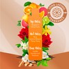 Sanctuary Spa Bubble Bath, Vegan Luxury Bath Float, Cruelty Free,