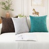 CaliTime Cushion Covers Pack of 2 Cozy Throw Pillow Covers