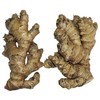 Live 10 Rhizomes of Edible Ginger Roots Zingiber Zingiber Officinale