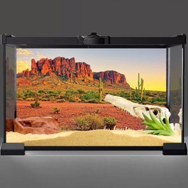 AWERT 36x24 inches Reptile Habitat Background Sky Oasis Mountain Cactus Sun and Desert Terrarium Background Durable Polyester Background