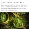 Iiko Cafe Matcha Latte, Commercial Powder, 28.2 oz (800 g)
