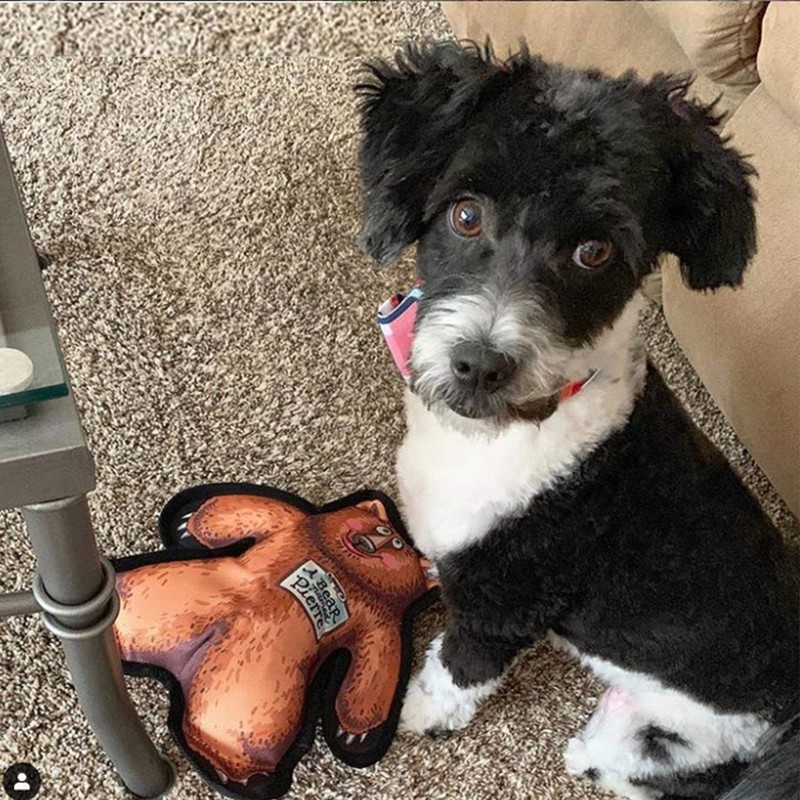 FUZZU Durable Dog Toy with Squeaker - Tough Chew Toy,