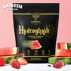 Ambrosia Hydroglyph Intraworkout Electrolytes Hydration Drink Mix | Sugar Free
