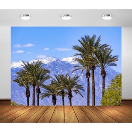 Loccor 9x6ft Fabric Coachella Valley Landscape Backdrop Tropical Palm Trees and Snow Covered Mountains California Valley Scenery Background Holiday Travel Party Decorations Photo Studio Props