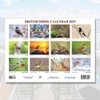 British Birds Calendar 2025 A4 12 Months 2025 Calendar Wall