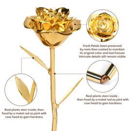 Ariceleo Gold Dipped Rose Real 24K Gold Rose, Genuine One of a Kind Rose Hand Dipped in 24K Golden Roses Romantic Gifts for Women in Her Birthday Anniversary Valentines Day Mothers Day