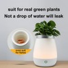 Cocoarm Vase Lampe Tischlicht, Blume Nachtlicht USB Wiederaufladbar Dimmbare Nachttischlampe