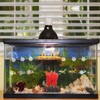 Hemobllo 6pcs Fish Tank Decorations, Mini Aquarium Decorations Floating Cute