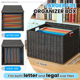 Extra Large Decorative File Box Seagrass File Box Organizers for Letter & Legal Size Basket Hanging Filing Cabinet with Lid Document Folder Basket for Home Office Decor(Black,Paper Rope)