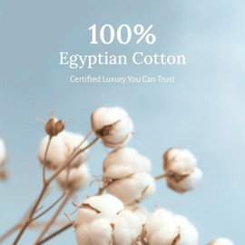 California Design Den Pillow Cases Queen Size Set of 2 - Certified Luxury 100% Egyptian Cotton Pillowcases Standard/Queen with Envelope Closure, Soft, Cool and Durable Sateen - Navy Blue