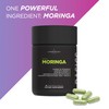 Livingood Daily Moringa Capsules, Moringa Supplement for Energy, Sleep, Satiety,