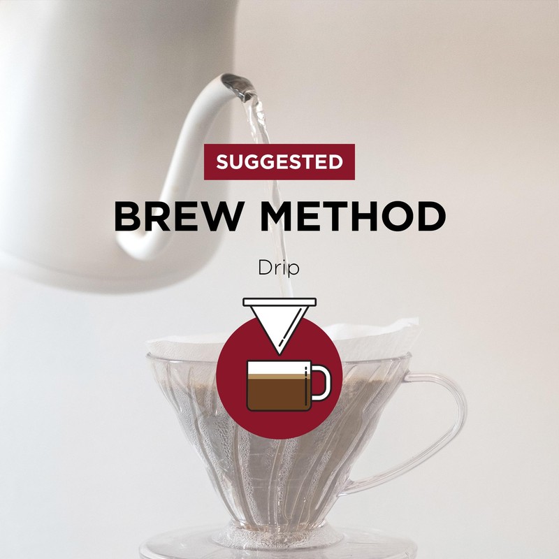 Fonte Coffee Roaster - French Press Coffee - Medium-Dark Fresh
