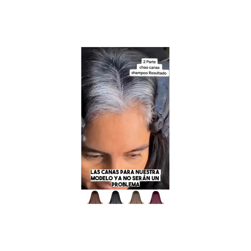 Shampoo Tinte 2 En 1 Color Negro Y Café 400ml