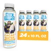 Blue Stripes Cacao Water - Cold Pressed Superfruit Hydration with