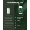 Magnesium Glycinate High Dose Capsules 270x - 300mg Magnesium per