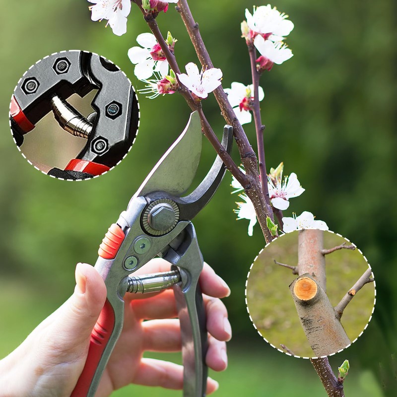 Daryunk 6pcs Volute Pruning Shears Replacement Spring, Stainless Steel Heavy-Duty