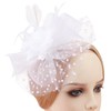 DRESHOW Fascinators Hat Feather Headband Women's Fascinators Tea Party Headpiece