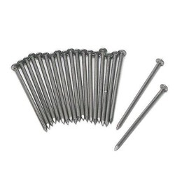 3B Scientific U8497331 Melt Experiment Nails (Pack of 20)