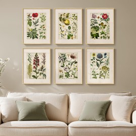 Framed Vintage Botanical Wall Art, Set of 6 Rustic Floral Painting Canvas Prints for Living Room Kitchen Bedroom Dining Room Hallway Bathroom, Antique Flower Pictures for Farmhouse Wall Decor, 11x14