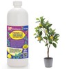 Premium Liquid Lemon Tree Plant Fertilizer - 3-1-2 Concentrate for