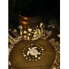 Gutsyluv Turtle Solar Lanterns Outdoor Waterproof HangingSolar Lights Turtle Gifts