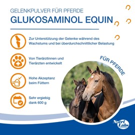 NutriLabs Glucosaminol® Equin Joint Powder for Young Horses 600 g - with Glucosamine & Magnesium Horse - Glucosamine Powder - Horse Dietary Supplement - Joint Nutrition for Horses