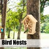 Bird Nests Hollow Tree Leaves Patterns Bird House Bird Cage