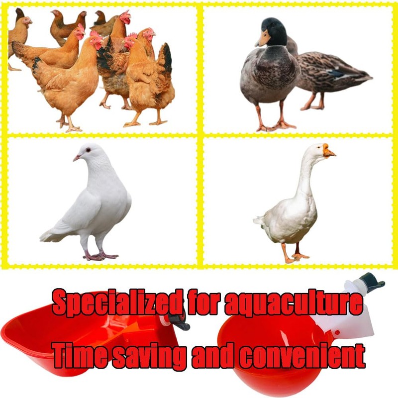6 Packs Large Automatic Chicken Waterer Cups Chicken Water Cups