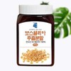 보스웰리아 추출 분말 200g Boswellia Extract Powder 200g