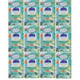 Dresdner Essenz Children's Bubble Bath Nose Free 12 x 40 ml Pack of 12