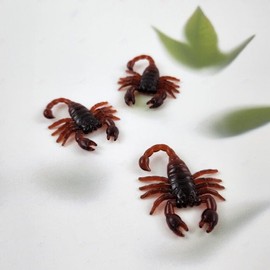 Mini Scorpion Model Halloween April Fool's Day Party Prank Event Prop / 미니 전갈 모형 할로윈 만우절 파티 장난 이벤트 소품