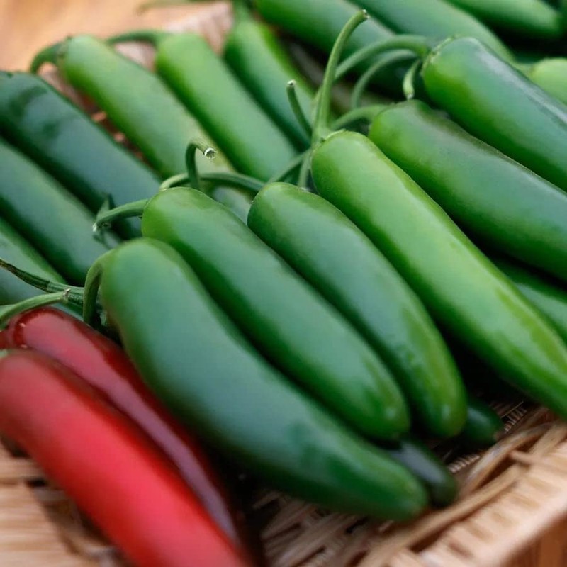 Park Seed Variety of Hot Chili Pepper Plant Seeds, Easy