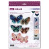 RIOLIS UAB Plastic Canvas KIT, Soaring Butterflies