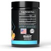 Giant Sports Performance Edge Series BCAA 30 Serving (Fruit Punch,