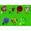 170 Pcs Backflow Incense Cones, 7 Mixed Natural Scents Waterfall
