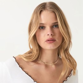 TGOLM Women's Zodiac Sign Choker Necklace Spiritual Horoscope Jewelry Birthday Gift Gold Plated Stainless Steel Snake Chain, Stainless Steel, No Gemstone