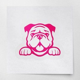 ANGDEST CLUB Decal Stickers of Bulldog Peeking (Pink) Premium Waterproof Vinyl Decal Stickers for Laptop Phone Accessory Helmet Car Window Mug Tuber Cup Door Wall Decoration ANDSKUS535536PI070722
