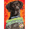 German Shorthaired Pointers (Awesome Dogs: Blastoff! Readers, Level 2)