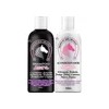 Shampoo Extracto Cola De Caballo + Acondicionador Argan-maca