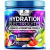 Nature's Nutrition Hydration Replenisher Daily Electrolyte Drink Mix C Hydration