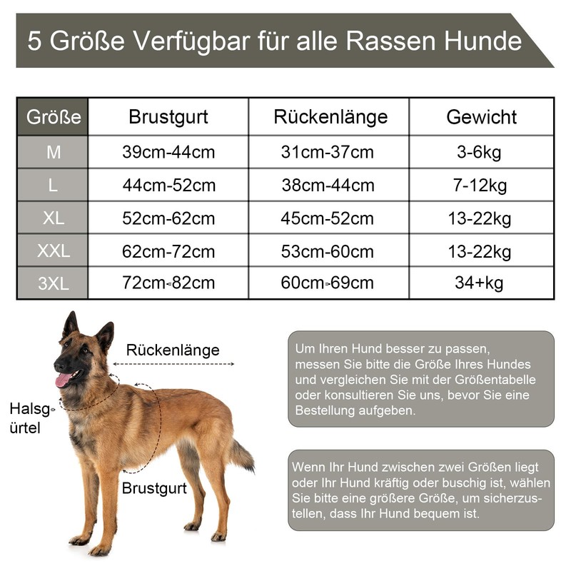 Jiupety Dog Recovery Suit Blue Medium