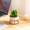AMOYINC 3 Packs Artificial Plants & Greenery with Ceramic Planters,