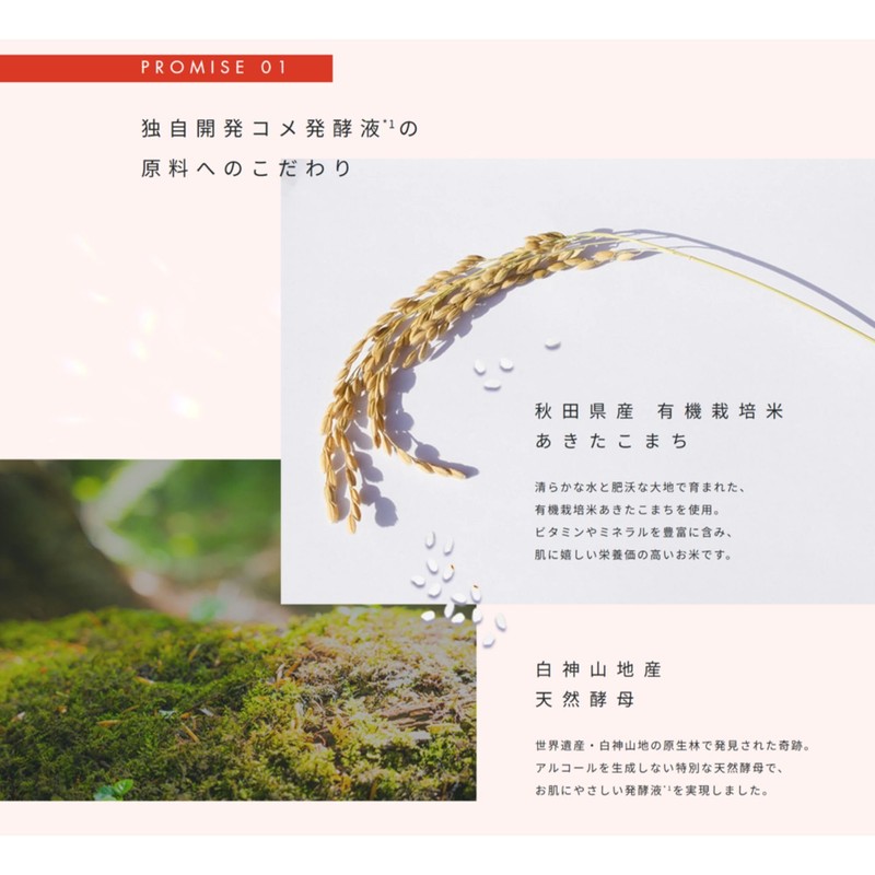 Hakko Panda Fermentation Introduction Beauty Serum, Mini Size