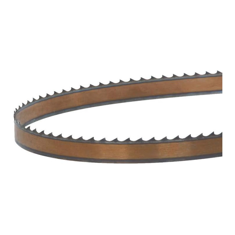 Delta 28-087, 93 1/2" X 1/4" X 10 PC Band