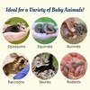 Exotic Nutrition Baby Animal Nursing Set (Basic) - Milk Replacer