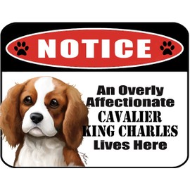 PCSCP Notice an Overly Affectionate Cavalier King Charles Lives Here 9 inch x 11.5 inch Laminated Dog Sign