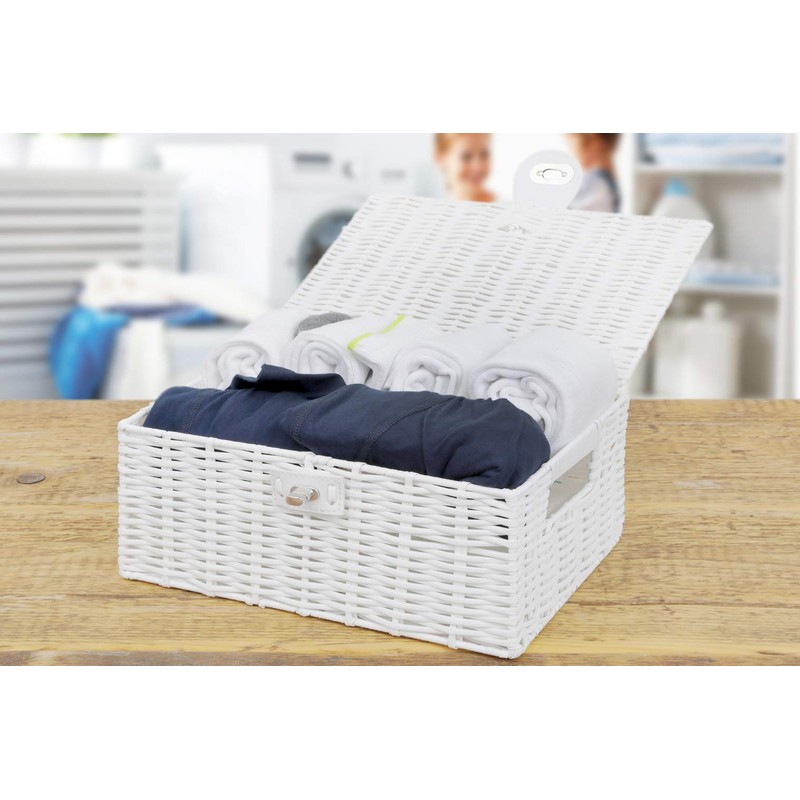 Arpan Medium Resin Woven Storage Basket Box with Lid &