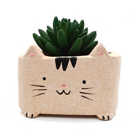 MONMOB Ceramic Cat Planter Cute Kitty Planter Pot Cat Succulent Pot